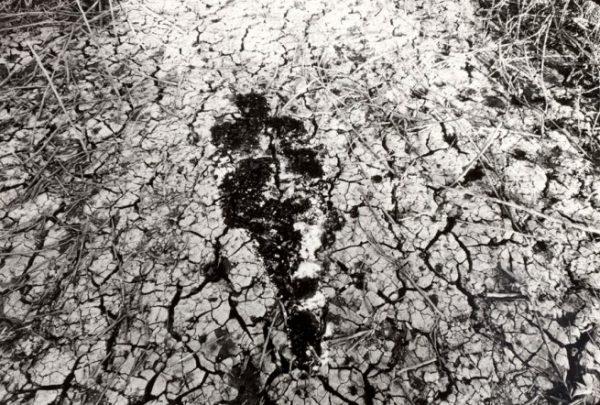 Ultimate Absence: Ana Mendieta at&nbsp;AIC